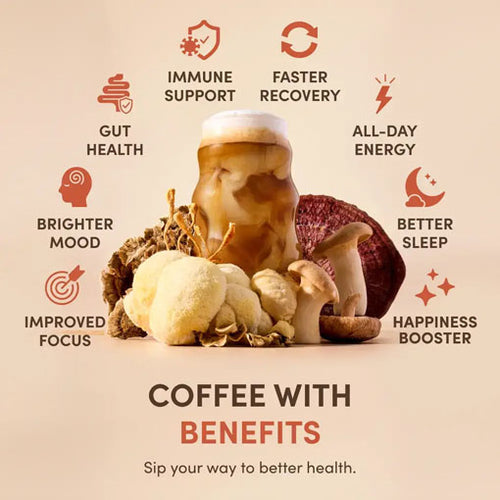 All Day Energy 2